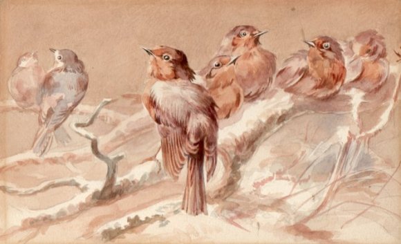Young Robins water-colour